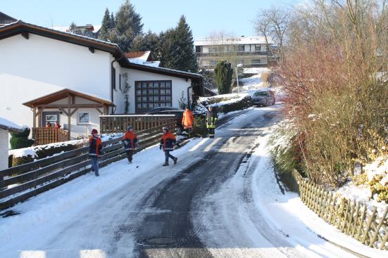 Weihnachtsbäume gesammelt