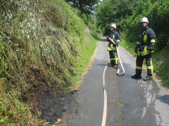 Einsatz am 30. Juni: Buschbrand